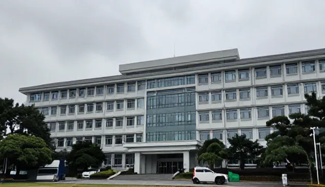 日用百货批发线上店铺运营选型关注点有哪些?